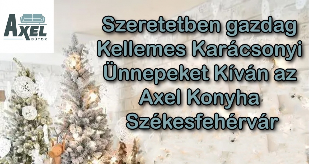Szeretetben gazdag Kellemes Karácsonyi Ünnepeket kíván Axel Bútor Székesfehérvár!